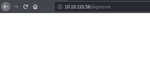404 Abuse
