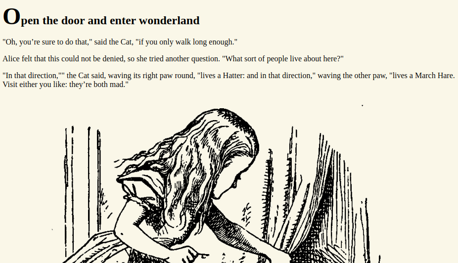 follow the r a b b i t